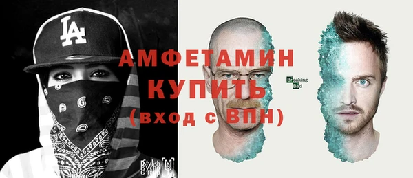 крисы Мегион