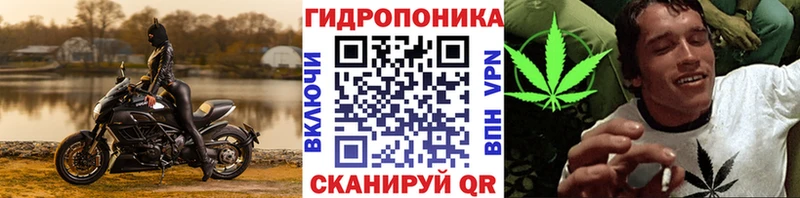 Каннабис AK-47  Иноземцево 